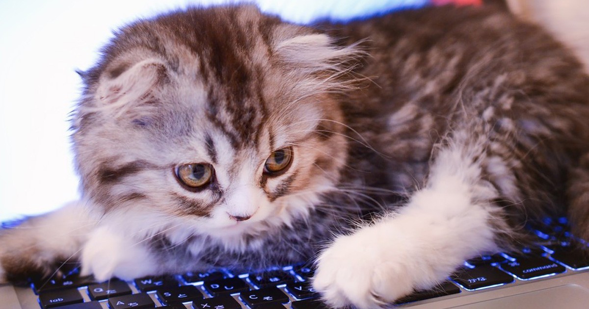 ホームページをリニューアルしました！